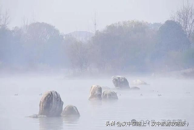 汉中汉江湿地晨景绝了！薄雾锁江，鸟戏江波，宛如仙境！