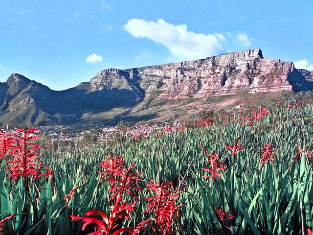非洲旅游：难忘南非观光之旅纪行（图）