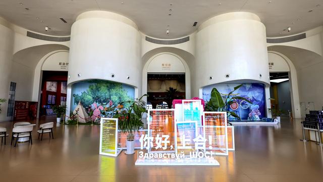 探寻青岛上合示范区：在开放中茁壮成长，谱写和合共生新华章