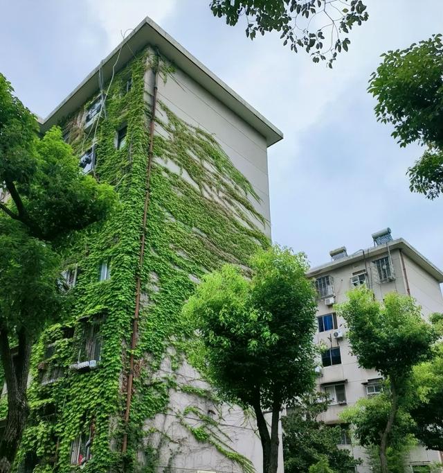 拆迁全面叫停？满24年房龄的老小区，一律按新规处理！业主迎利好