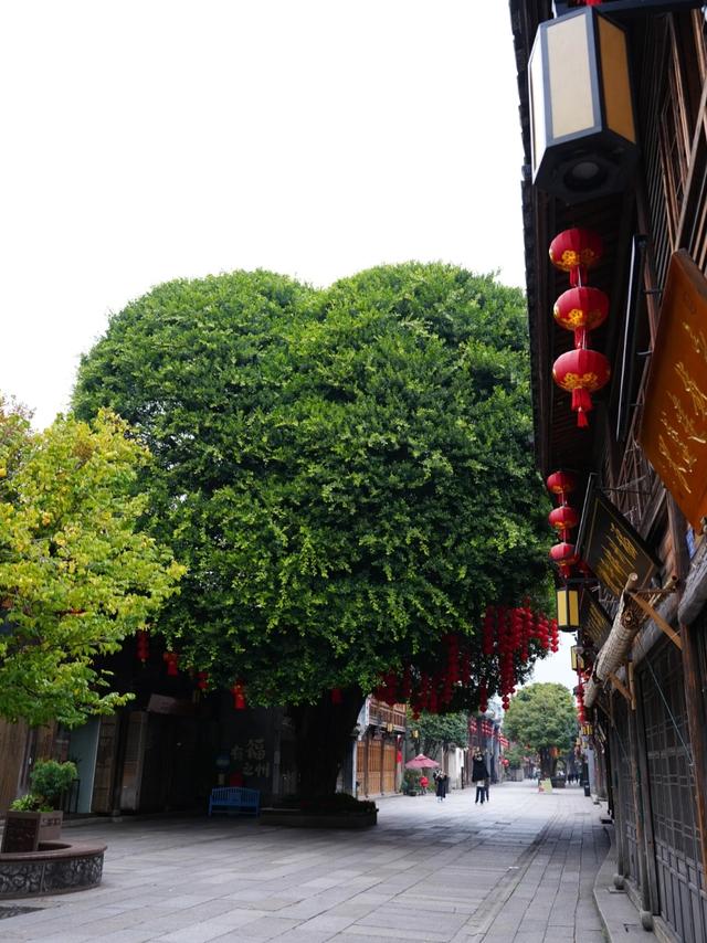 都说福州比南昌还要名气大，两地深度游后，才发现差距真的很大