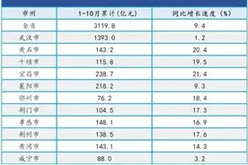 湖北各市1-10月财政收入排名：宜昌领先襄阳、荆门破百亿图片