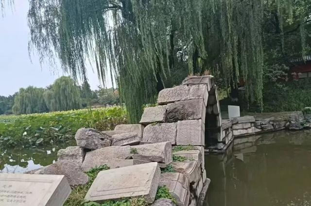 渭南文坛 | 王磊：我陪父母逛北京