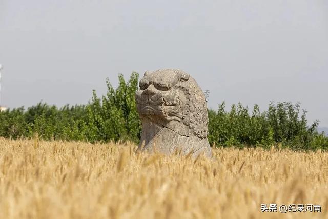 巩义：历史脉络与发展轨迹下的文化经济思索