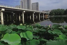 昔日臭水沟 今朝景观河 绿色生态为美丽首府铺就宜居底色图片