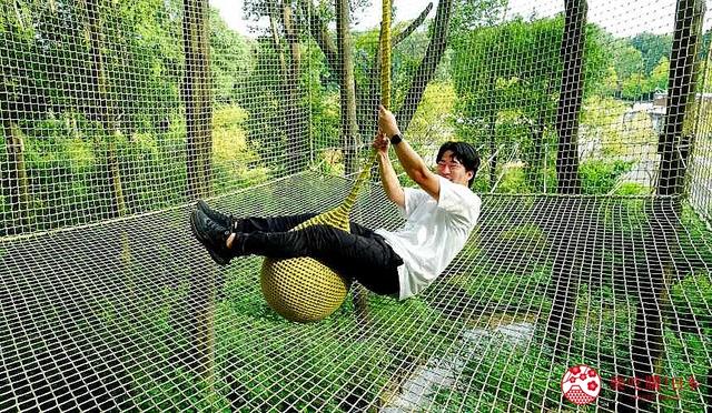 日本亲子游推荐「FOREST ADVENTURE」：享受森林冒险的刺激