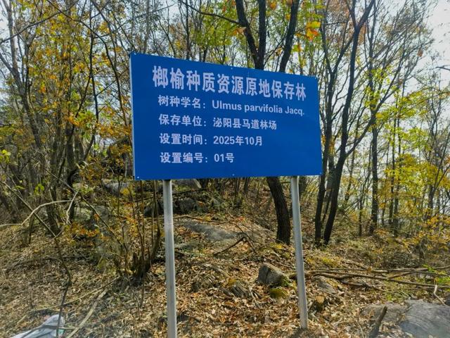 什么叫层林尽染？马谷田镇义和寨东边的堰塘寺告诉您！