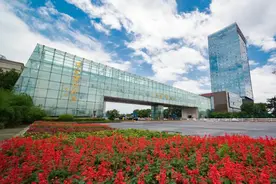 港城“镇”精彩！张家港保税区引领产业升级图片