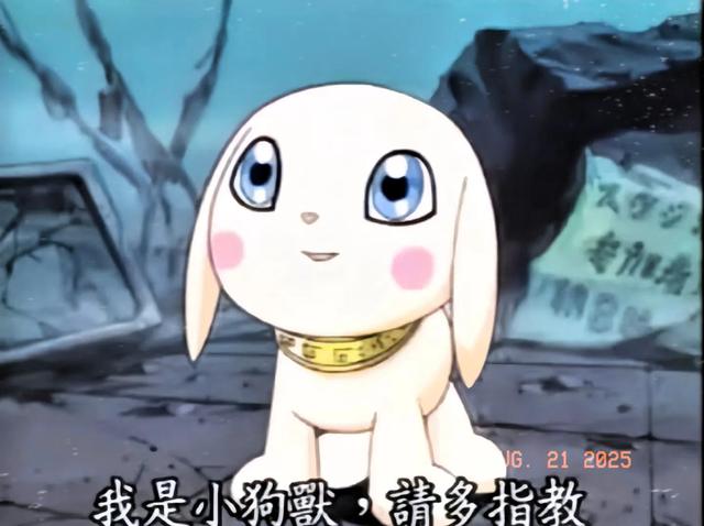 盘点数码宝贝圣龙兽进化路线,是大家熟悉的进阶吗?