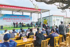 三河大石各庄村第十九届梨花节开幕图片