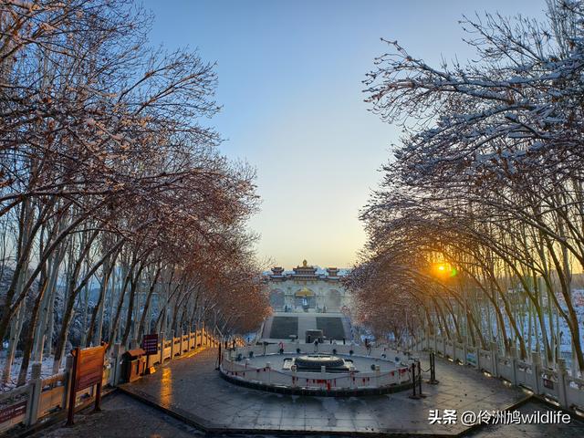 新疆乌鲁木齐红光山大佛寺