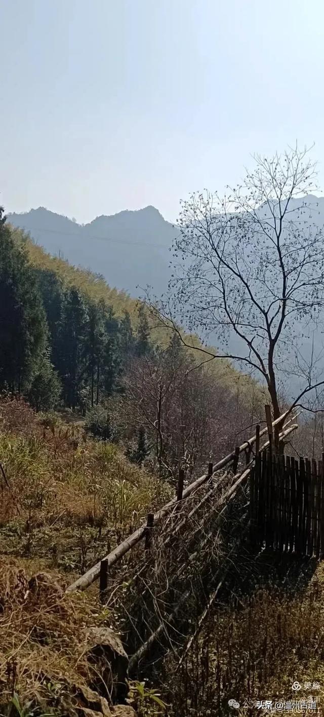 五次试走，终于揭开楠溪江源头永仙边界这条防火道的神秘面纱！