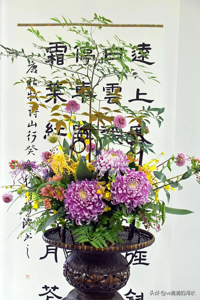 菊花是秋天里绝美的画卷