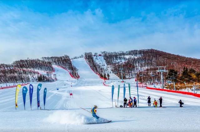 大雪已至 龙江皆雪趣