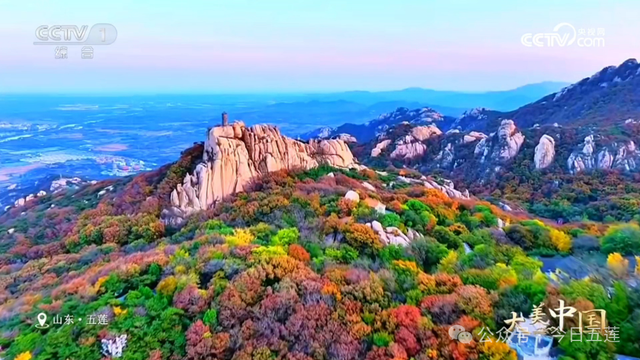 五莲上央视了！