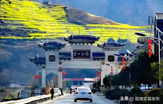 我爱你，文县！