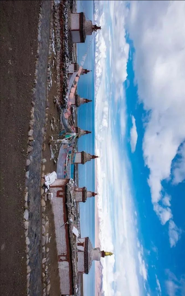 极地那曲不仅美在雪山湖泊，更美在每一棵生机盎然的树