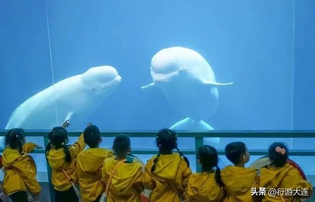 周末不无聊~带娃去这些地方“放电”，还能涨知识！