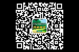 4月13日鸣枪开跑！相约森林，快来报名→图片