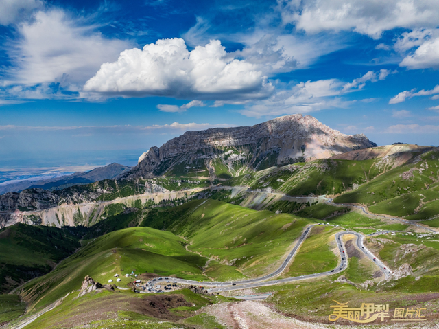 伊昭公路“八月飞雪”全网刷屏！当地相关部门回应→