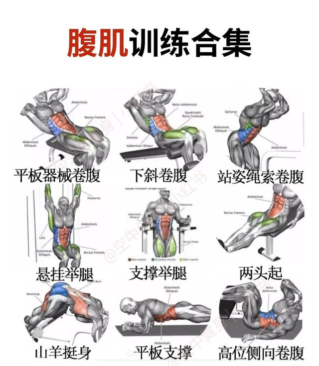 中老年人健身，为什么更需要增肌锻炼？
