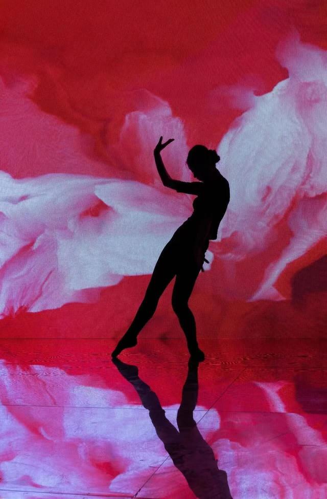 福田限定！11月起，在光影与花海中邂逅城市艺术