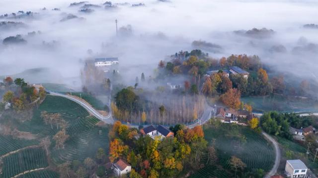 河南冬景上新，藏不住了！