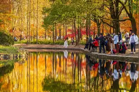 全民求生小说推荐图片