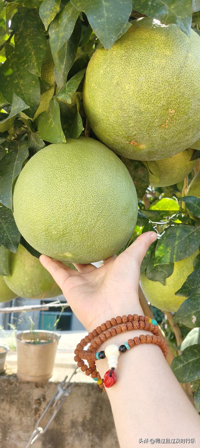 品味鄱阳湖大闸蟹，感受秋天的鲜美