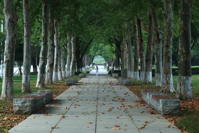 周末圈 | 轨道交通可达，重庆这14个公园，周末撒欢超开心！