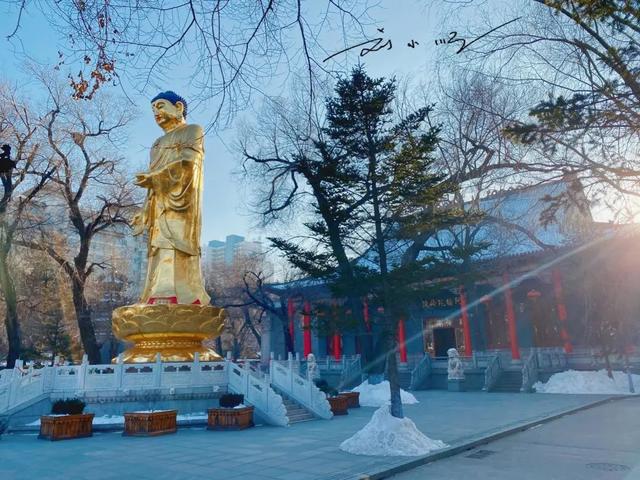 哈尔滨百年寺庙，作为“东北四大寺”之一，就在市中心却少有人知