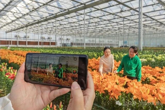 冬游徐水|好吃好看好游好玩等你来！