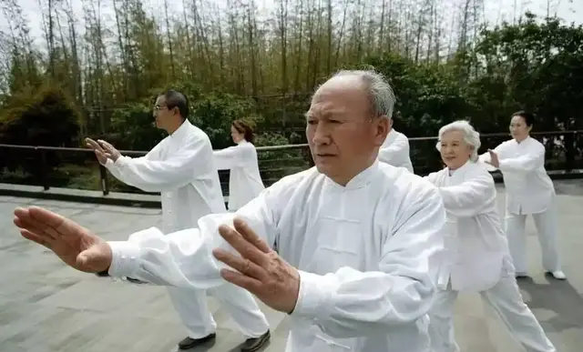 杨氏太极拳有多少式？24、40、85式，该选哪套练}