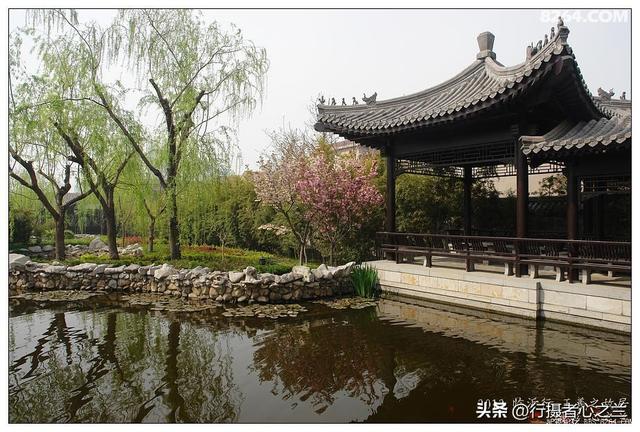 山东行游影记（44）—王羲之故居（七）