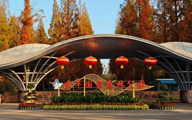 初冬逛沪郊！奉贤、崇明限时优惠来啦