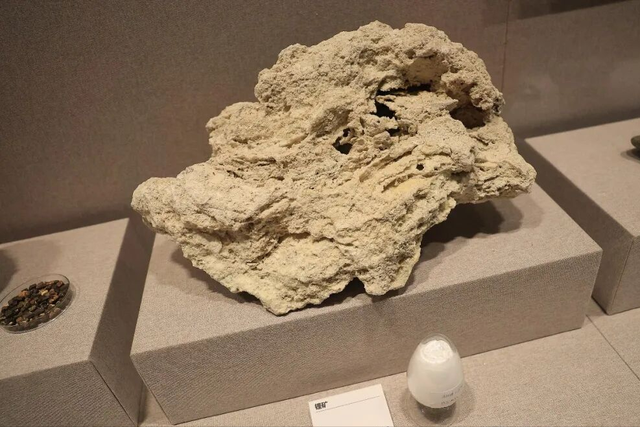 走进阿里博物馆，才算真正读懂这片高原