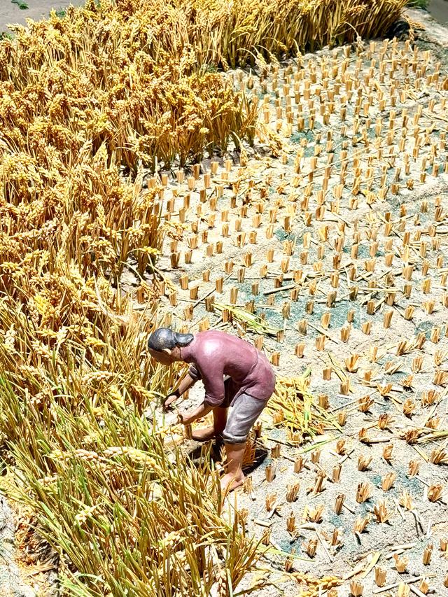 烟火高邮（高邮博物馆）