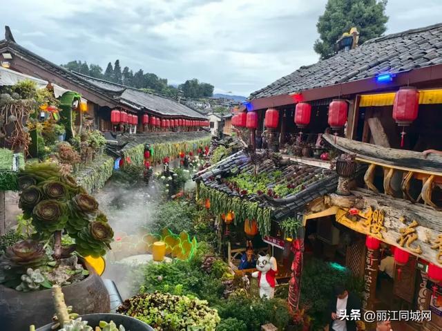 谁说雨天不适合旅行?丽江古城的雨季,才是打开浪漫的正确方式