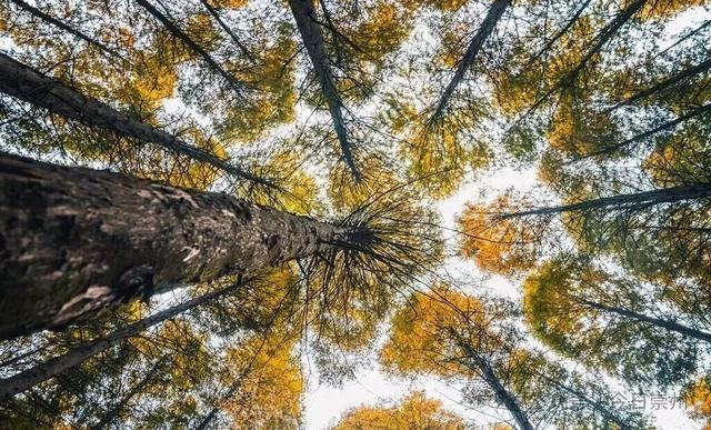 秋假去哪？崇州这些亲子游宝藏地不容错过