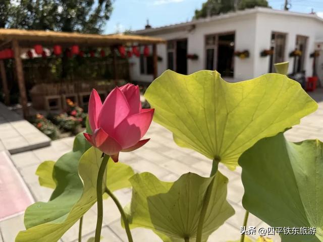 乡土印象：藏在炊烟里的民宿故事