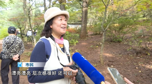 春城的秋天是什么颜色？来黑龙潭，给你一片火红的答案