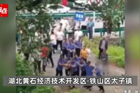 闹大！殴打村民的“制服人员们”，这次恐摊大事！村民：要抢地！图片