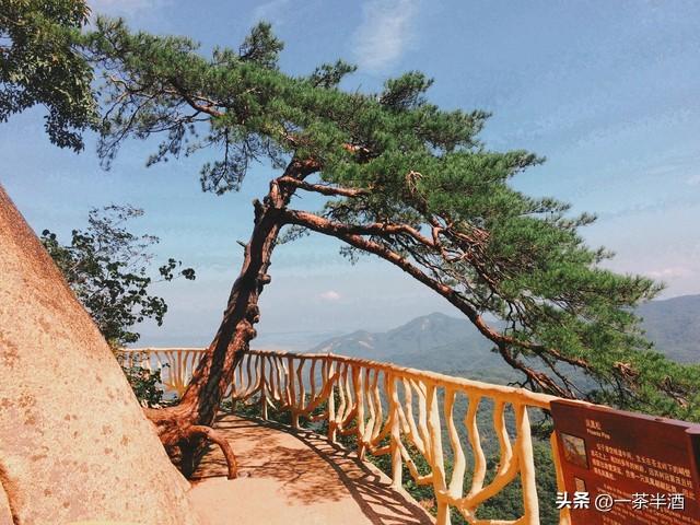 安徽九华山保姆级自驾攻略，景点-免费营地-美食联动·轻松祈福游