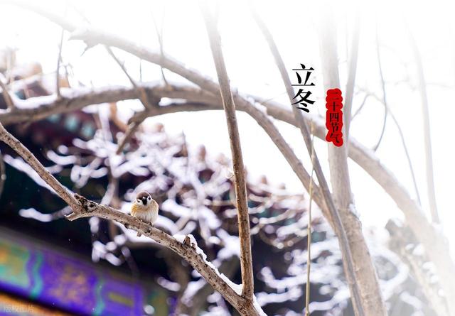 明日立冬，最怕“立冬一日晴”，立冬晴天有啥预兆？还有啥可怕？