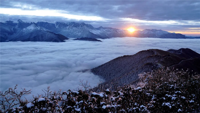 【雪景预告】看雪不必出远门！雅安的冬天超超超美！