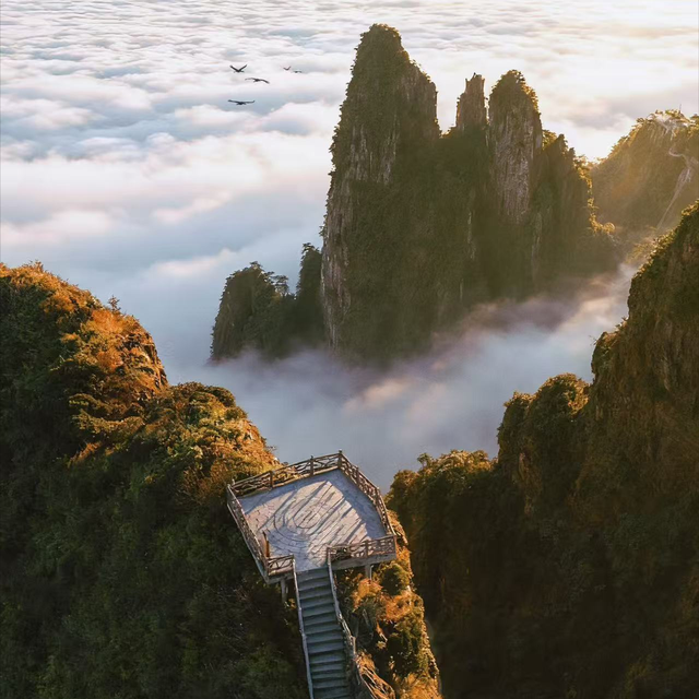 湘南荒山野岭火到韩国！本地人都少去，韩媒却眼红