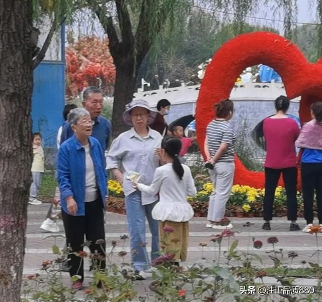 今年唐山南湖菊展从规模到品种在我印象中是多年来的第一次