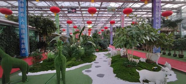 靖远冬日新地标，元旦水岸三合见，嗨翻整个冬天！