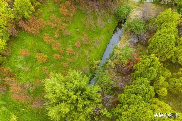 随着旁边五星级酒店的破产重组，这个公园也逐渐没落，被丽江遗忘