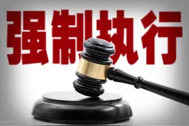 法院的“网络执行查控系统”能查啥？查的准吗？（附执行建议）图片